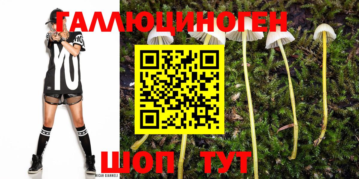 Галлюциногенные грибы Psilocybine cubensis  Вход с VPN  где продают наркотики  Сосновоборск 
