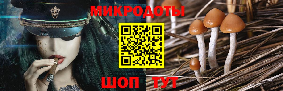 Галлюциногенные грибы Magic Shrooms Сосновоборск